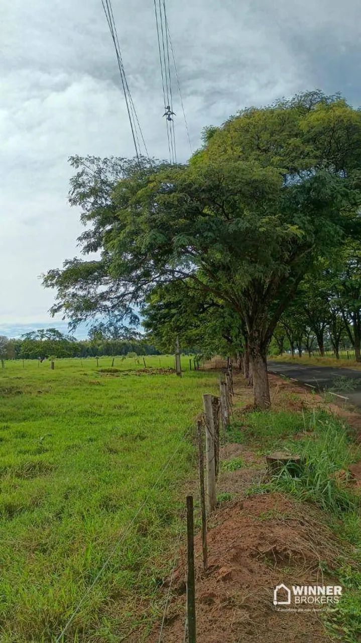 Excelente chácara em Uniflor - Foto 3