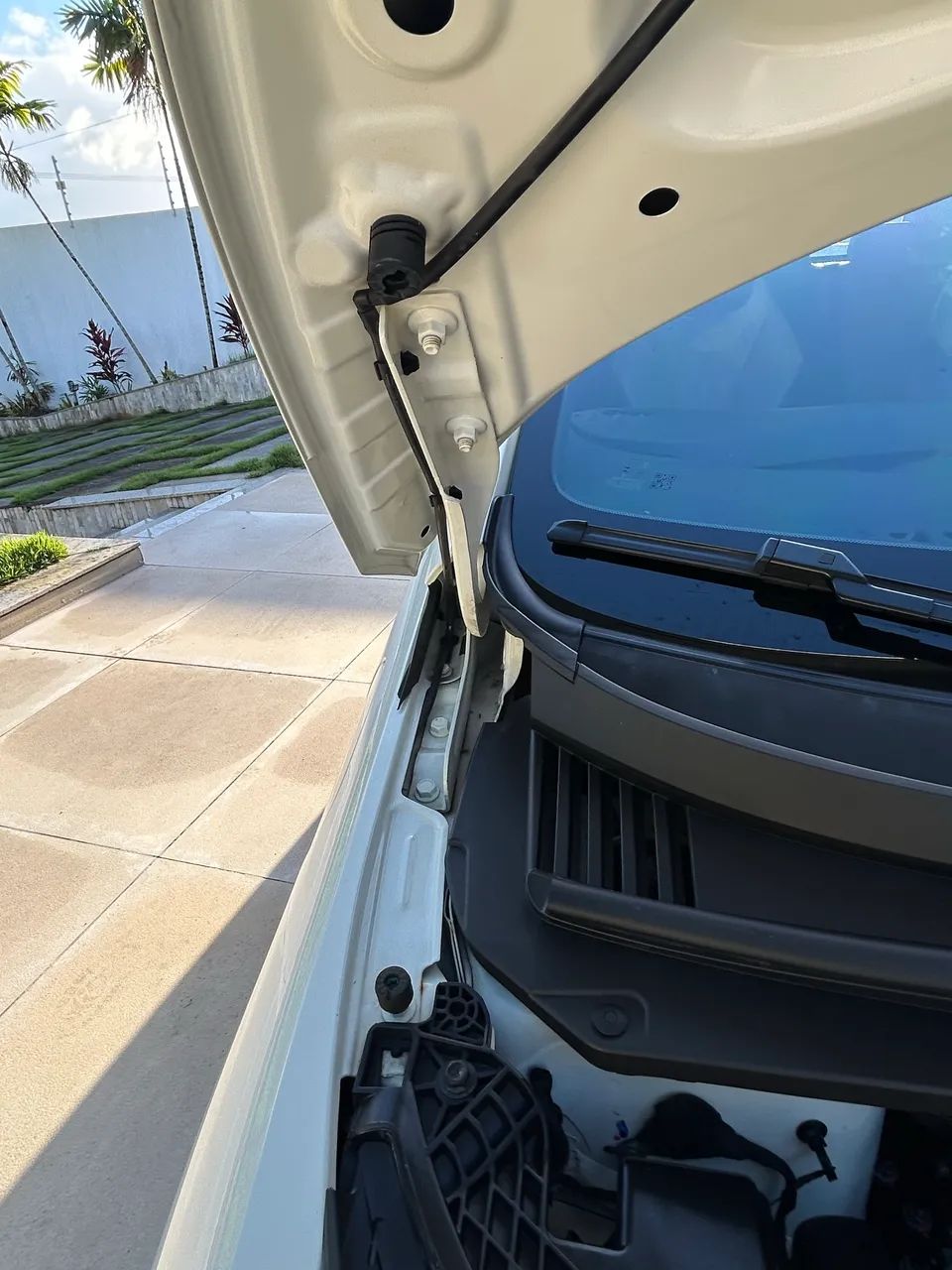 BYD Dolphin EV (Elétrico) 2024 - Foto 4