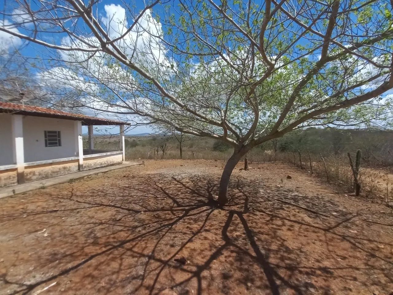 Propriedade Rural - Foto 5