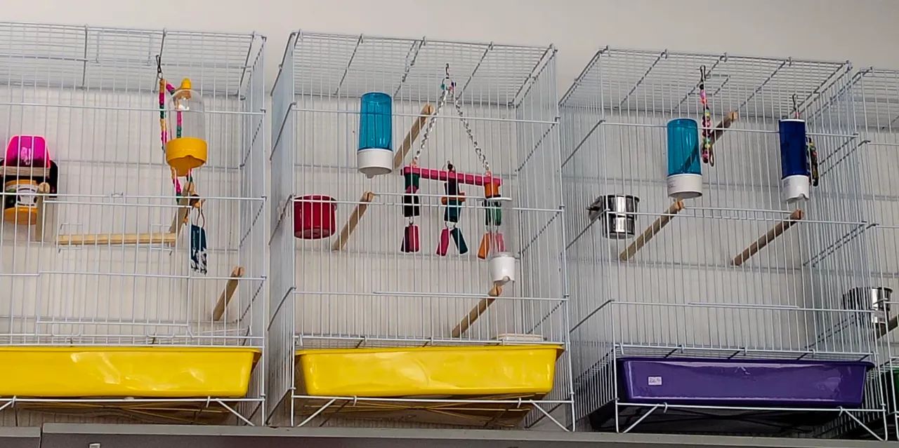 Gaiolas 