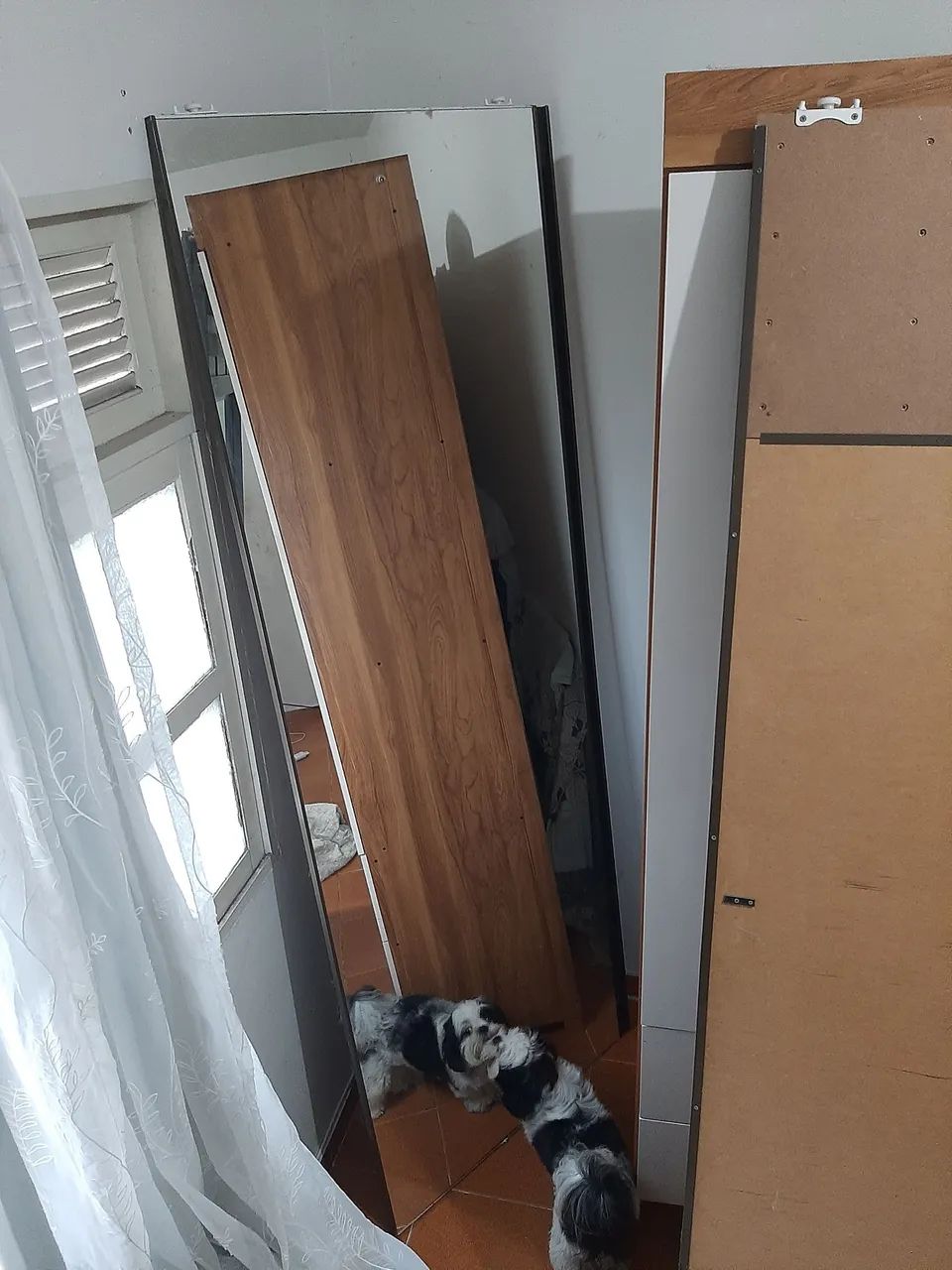 Dois grandes espelhos - Foto 2