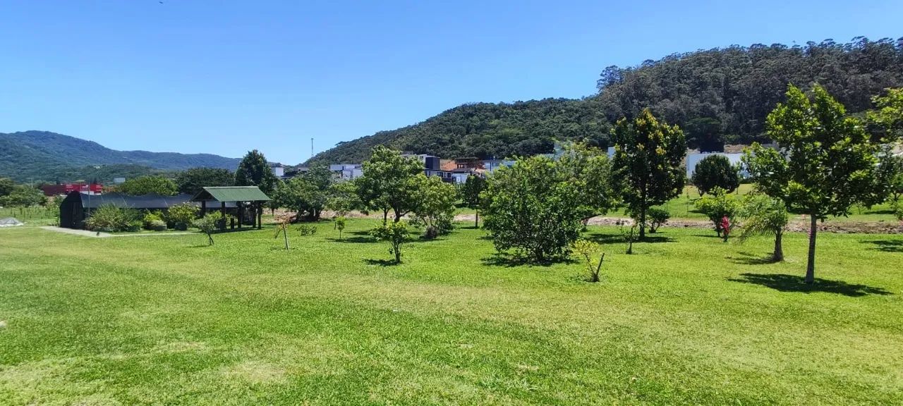 Terreno com 509,40m² nos Ingleses. - Foto 2
