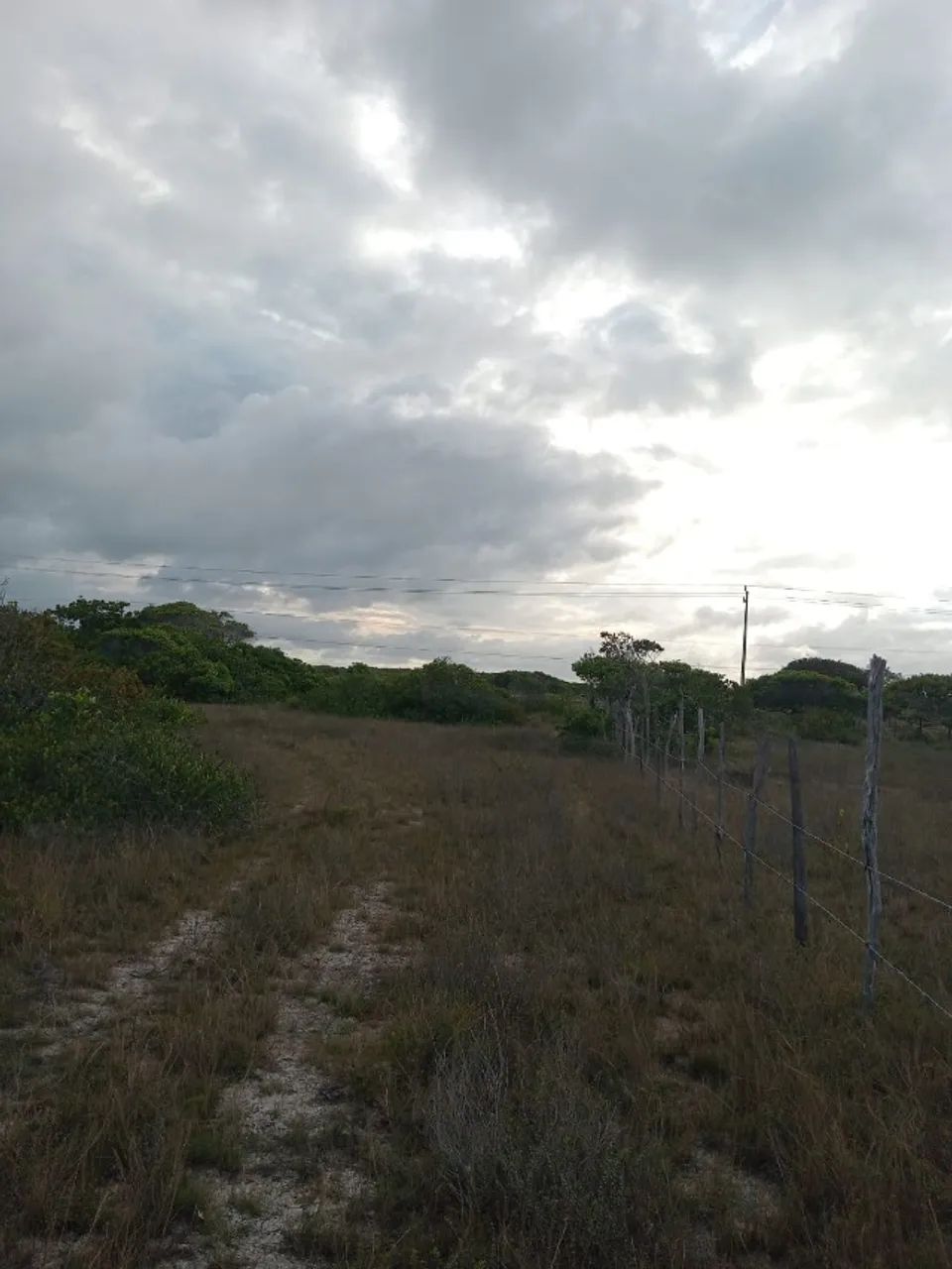 Terreno em Santo Amato do Maranhão - Foto 4