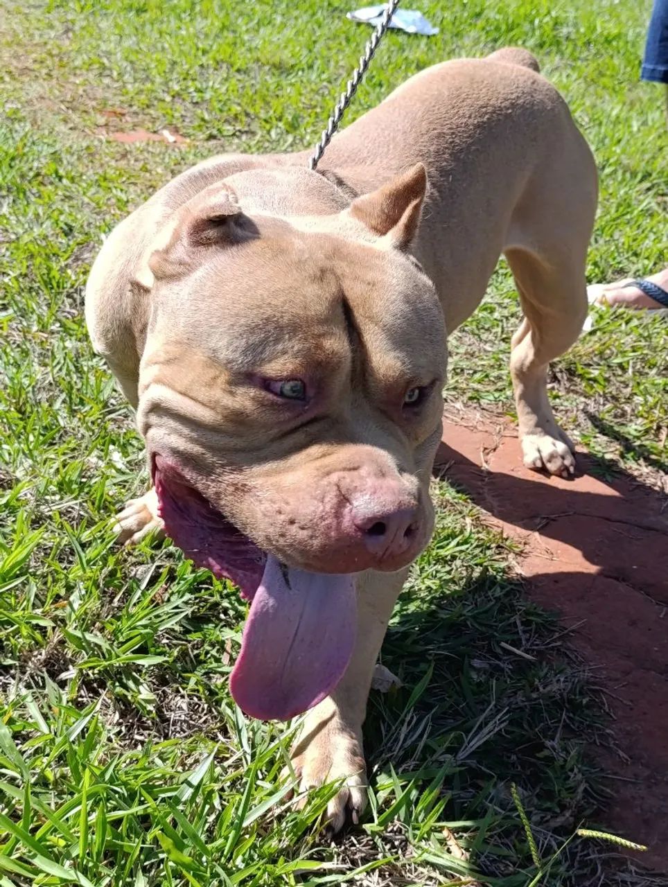 Disponível  - Foto 4