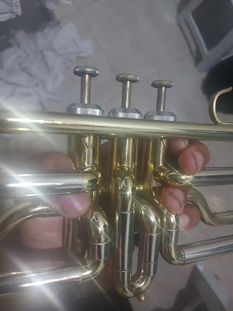 Trombone de Pisto - Foto 2