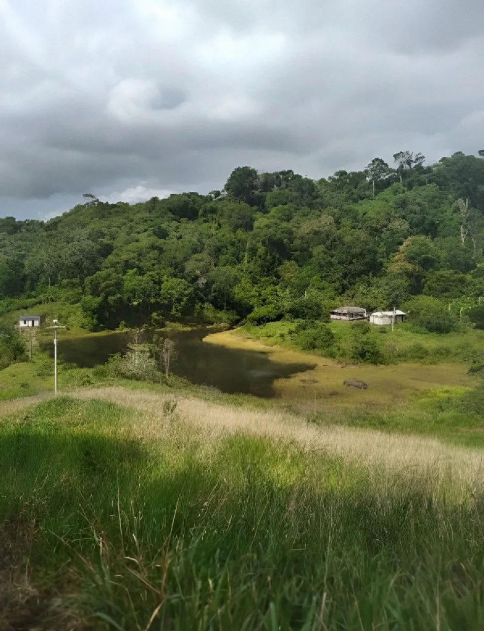 Foto - Ilhéus - Pimenteira