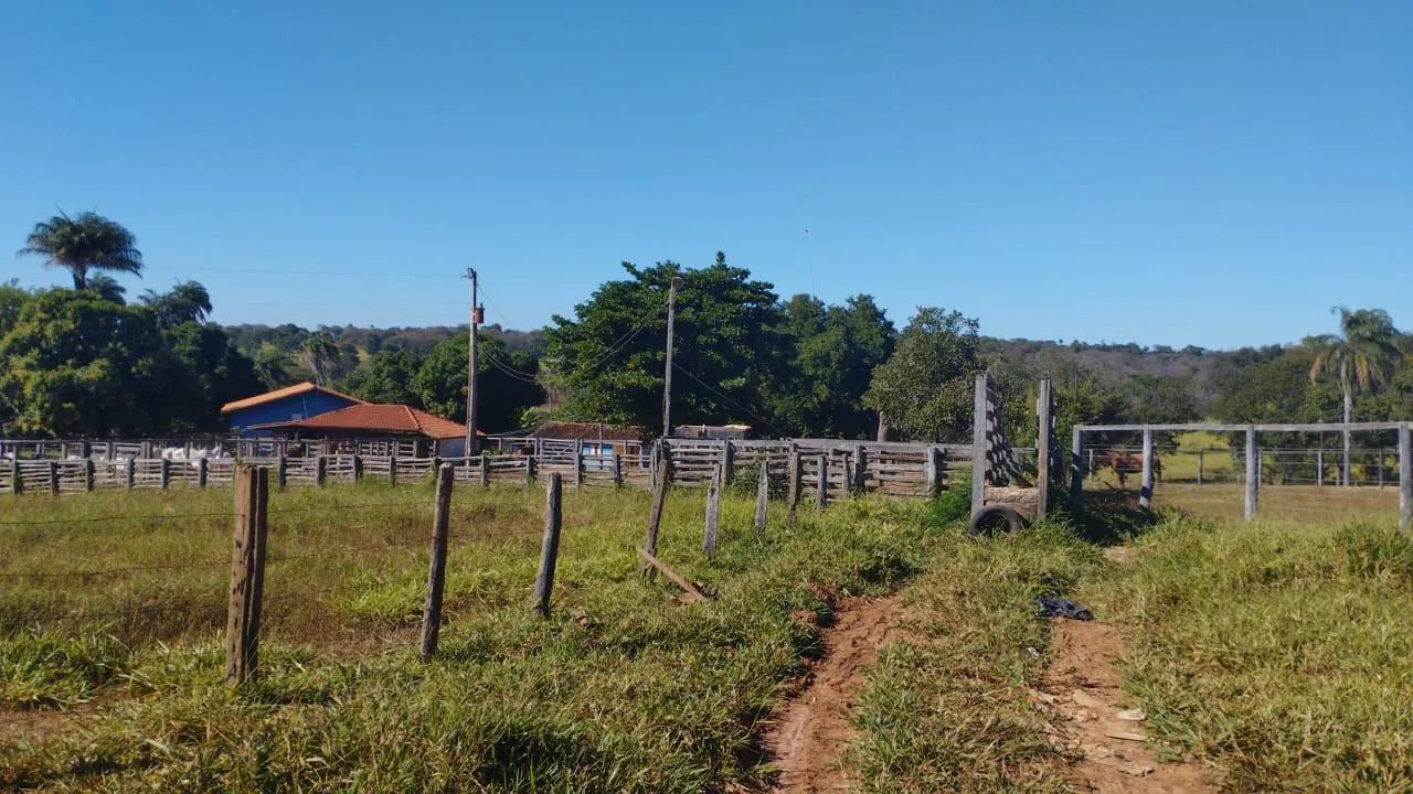 Fazenda 339 Hectares/2 Rios,Toda cercada... - Foto 10