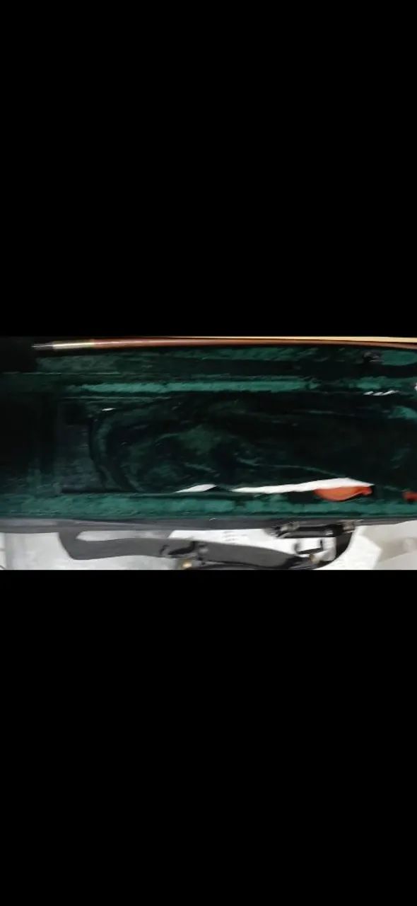 Violino  - Foto 2