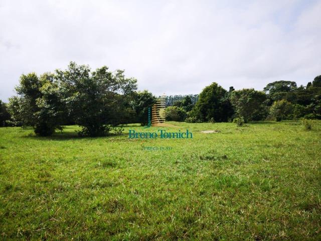 Fazenda á 3Km de Eunápolis - Foto 17