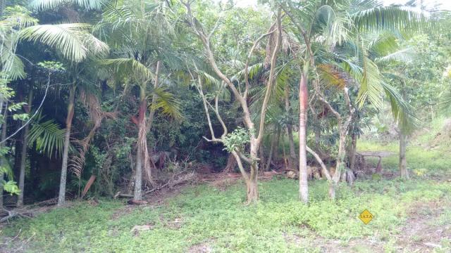 Casa, Sertão dos Correias, Tubarão-SC - Foto 9