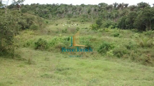 Fazenda 90KM de Eunápolis - Foto 15