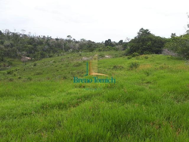 Fazenda á 15KM da balsa de Santo André - Foto 14
