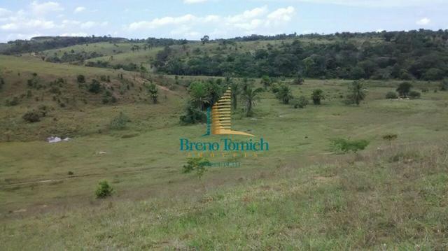 Fazenda 90KM de Eunápolis - Foto 14