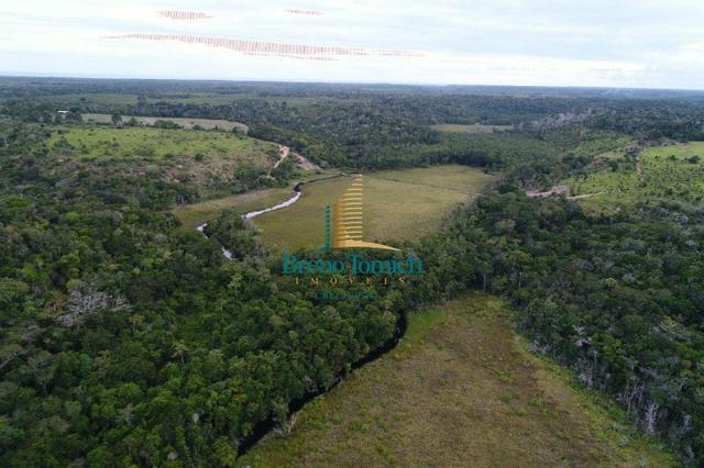 Fazenda á 15KM da balsa de Santo André - Foto 3