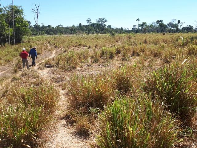 Fazenda de 220 alqueire em Novo Mundo -MT - Foto 14