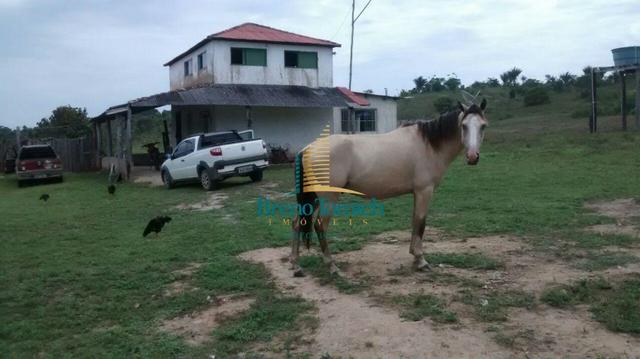Fazenda 90KM de Eunápolis