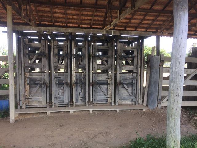 Fazenda 70 alqueires em Anicuns muito boa!!! - Foto 14