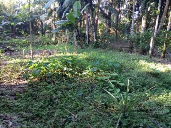 Chácara à venda, 1180 m² por r$ 120.000 - américa de cima - morretes/pr - Foto 12