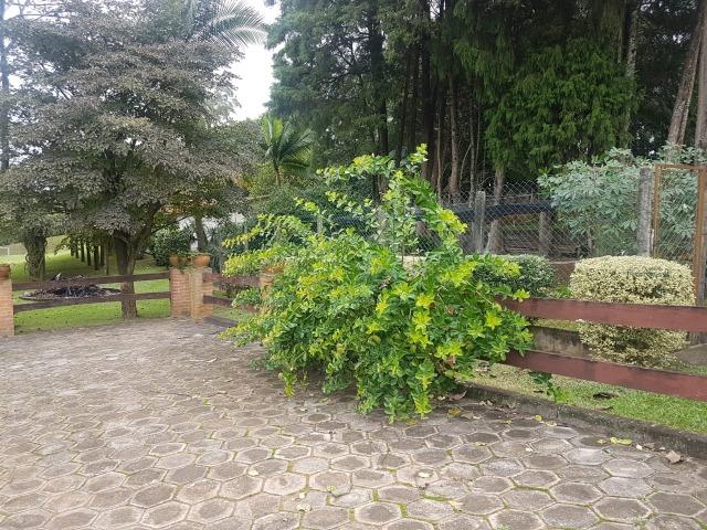 Sitio 20500m² Canguerinha São Roque - Foto 19