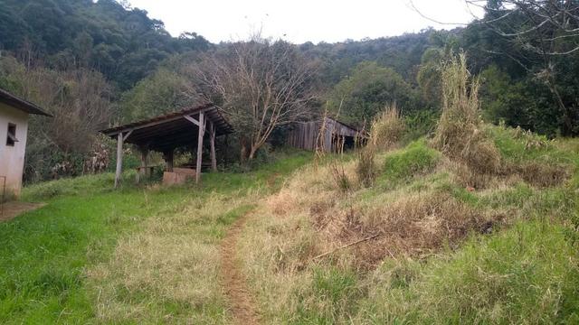 Sítio em Nova Petrópolis com 20,5 hectares - Foto 13