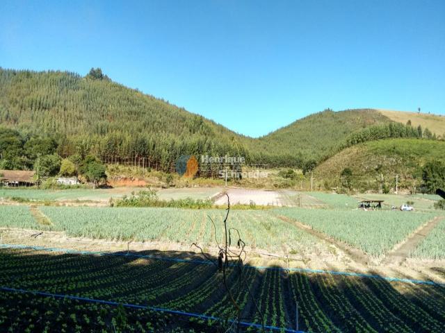 Fazenda produtiva, 116 ha, vale alpino, teresópolis, rj - Foto 4
