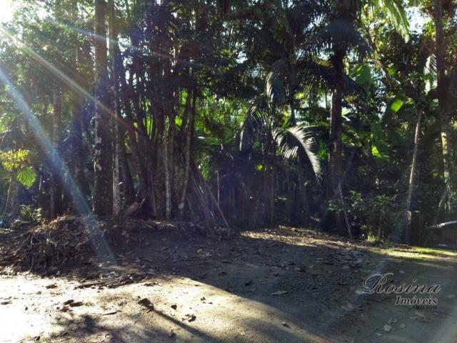 Chácara à venda, 1180 m² por r$ 120.000 - américa de cima - morretes/pr - Foto 3
