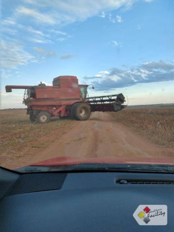Fazenda de grãos em pontes e lacerda - mato grosso - Foto 10