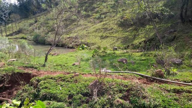 Sítio em Nova Petrópolis com 20,5 hectares - Foto 14