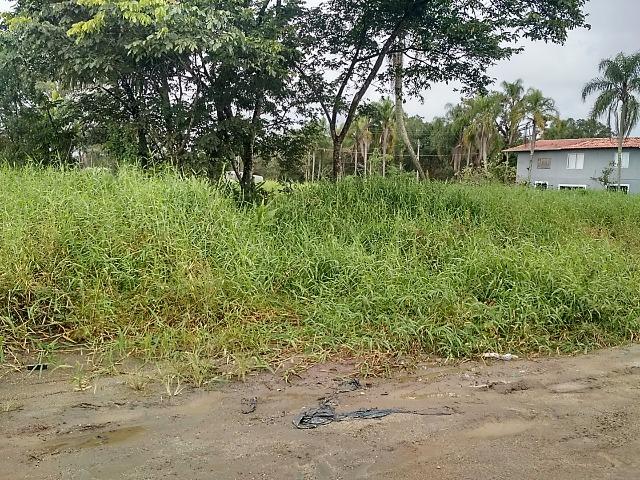 Terreno para investimento com 288m²!!! Morretes Itapema