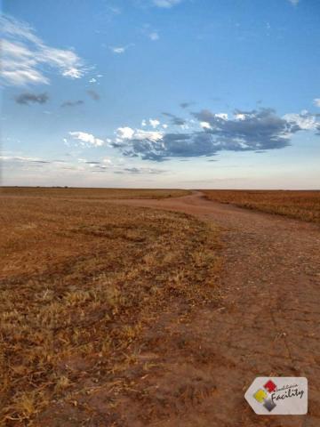 Fazenda de grãos em pontes e lacerda - mato grosso - Foto 13