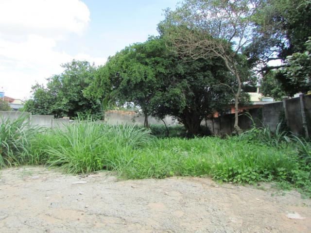 Terreno para alugar em Bom pastor, Divinopolis cod:24438