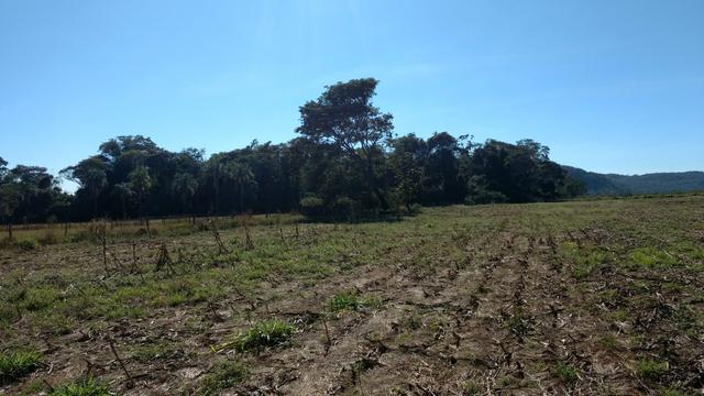 Chacara moradia lazer e valorização 4km de Caturaí - Foto 2
