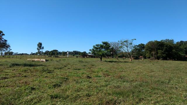 Chacara moradia lazer e valorização 4km de Caturaí - Foto 16