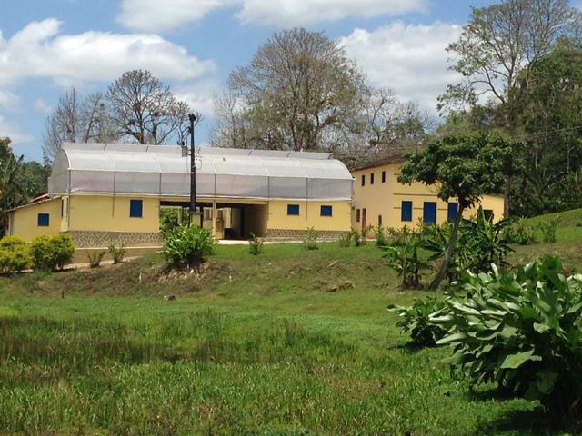 Fazenda de Cacau em Barro Preto BA - Foto 8