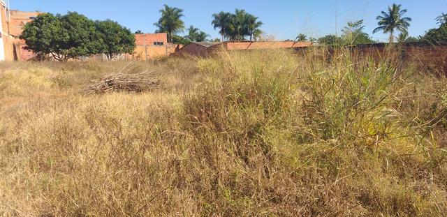 Oportunidade em planaltina DF vendo excelente lote de 1.150 metros no araponga - Foto 9