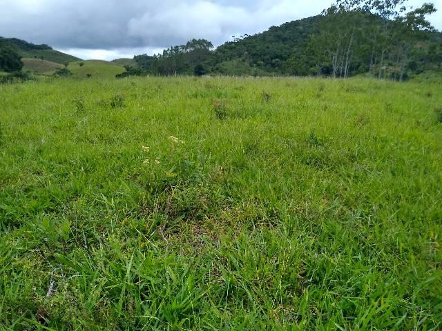 Fazendinha 15 alqueires Cariacica - Foto 12