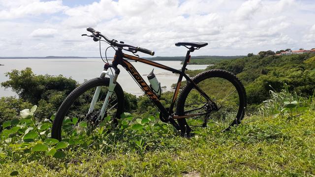 Bike shout aro 29