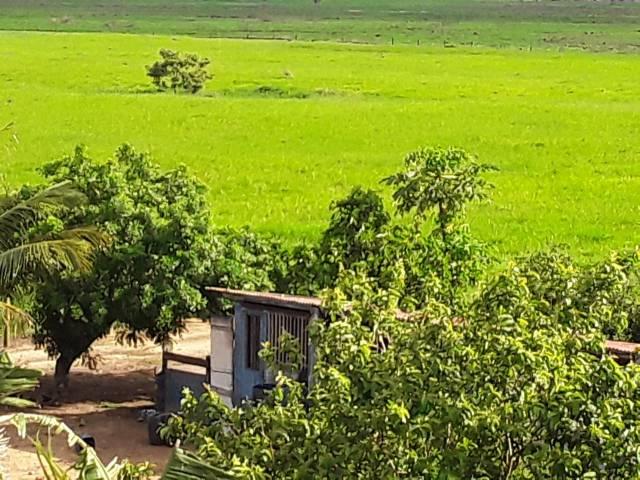 Fazenda 180 alqueires Linhares - Foto 14