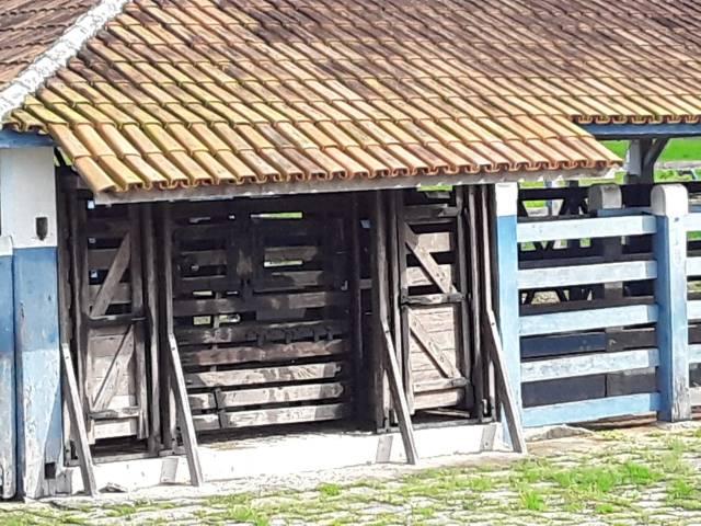 Fazenda 180 alqueires Linhares - Foto 18