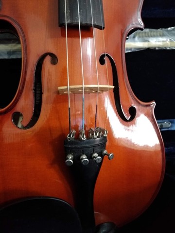 Violino Eagle VE 144  4/4 - Foto 4