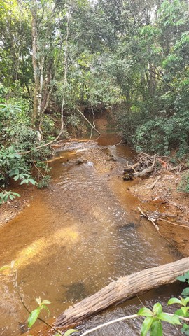 Excelente Chácara com 5,6 Hectares - Aceito Troca por casa em São Sebastião - Foto 5