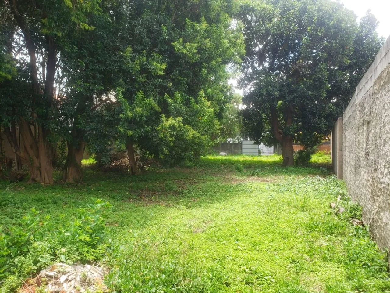 Terreno plano com 1000 metros em Presidente Altino - Foto 4