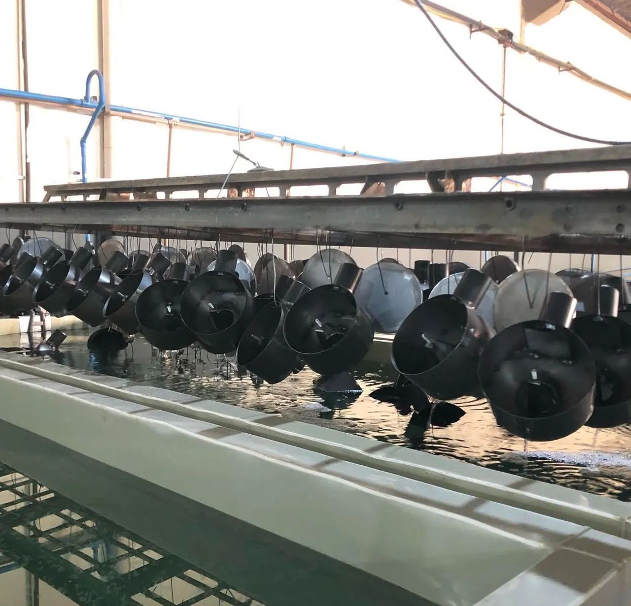 Banho químico para pintura eletrostática  - Foto 3