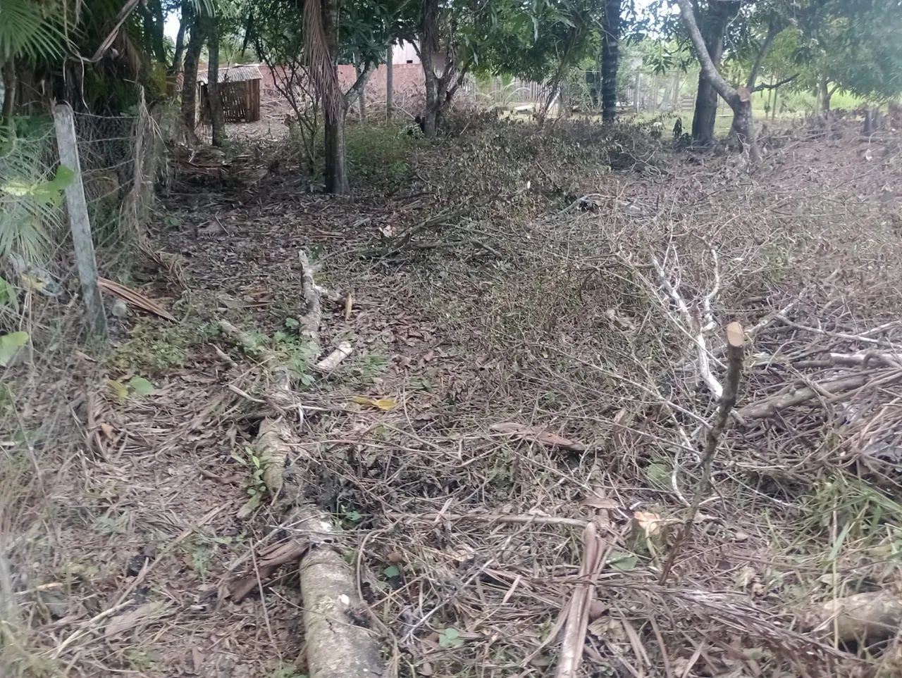 foto - Rio Branco - Tancredo Neves