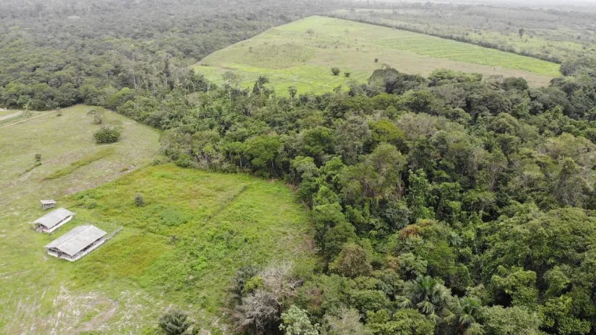 50 hectares fazendinha pronta por R$700.000, documentada