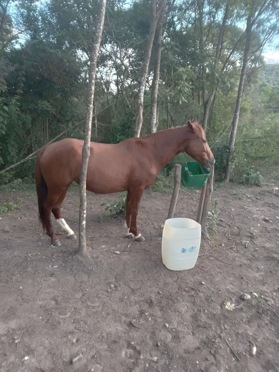 Aceito troca e propostas Whats 41996-514129