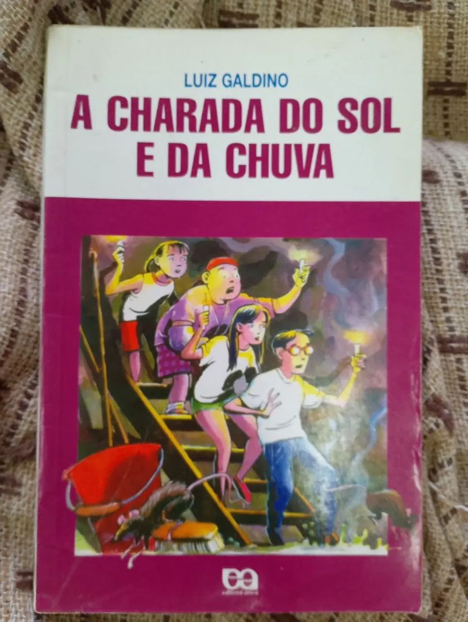 Livro A charada do sol e da chuva