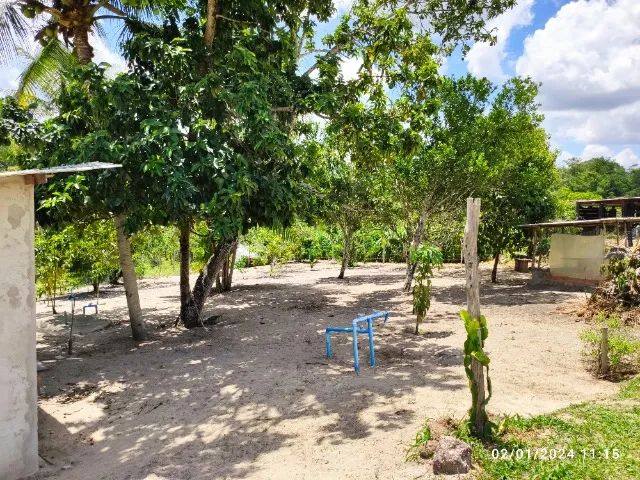 SÍTIO 10 TAREFAS em SALGADO - Próx. ao parque Timbó - Foto 3