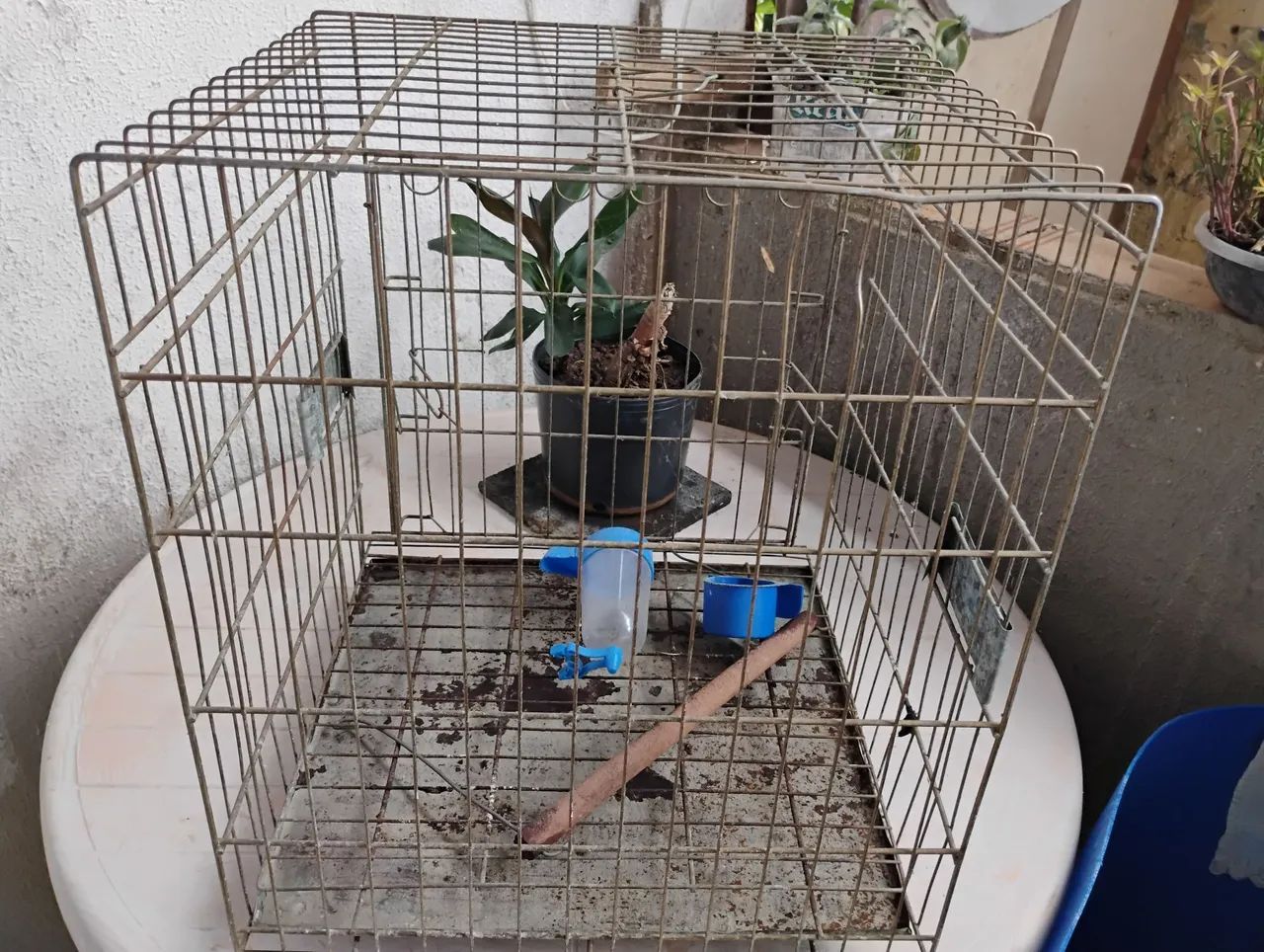 Gaiola de passarinho - Foto 2