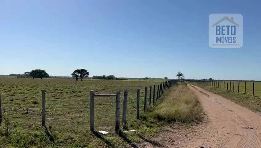Fazenda/Sítio/Chácara para venda possui 2420000 metros quadrados em Centro - Quissamã - RJ - Foto 2